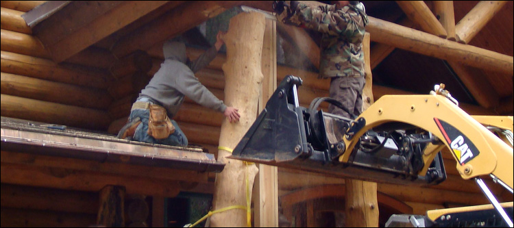 Log Home Log Replacement  Winchester City, Virginia