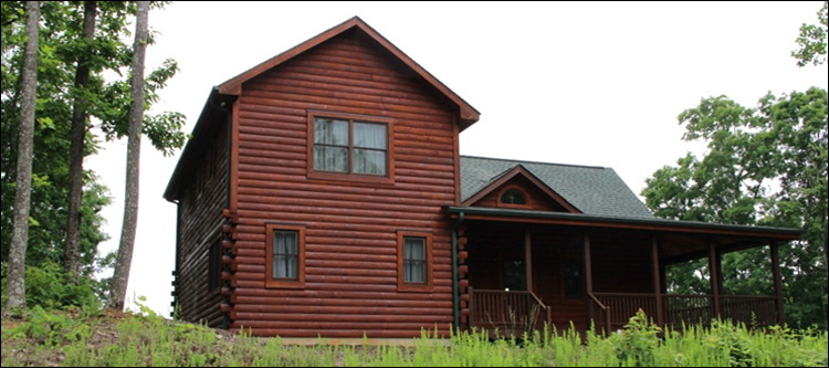 Professional Log Home Borate Application  Winchester City, Virginia